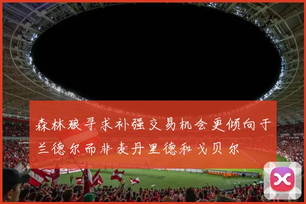 森林狼寻求补强交易机会更倾向于兰德尔而非麦丹里德和戈贝尔