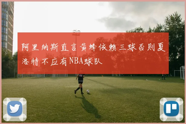 阿里纳斯直言黄蜂依赖三球否则夏洛特不应有NBA球队
